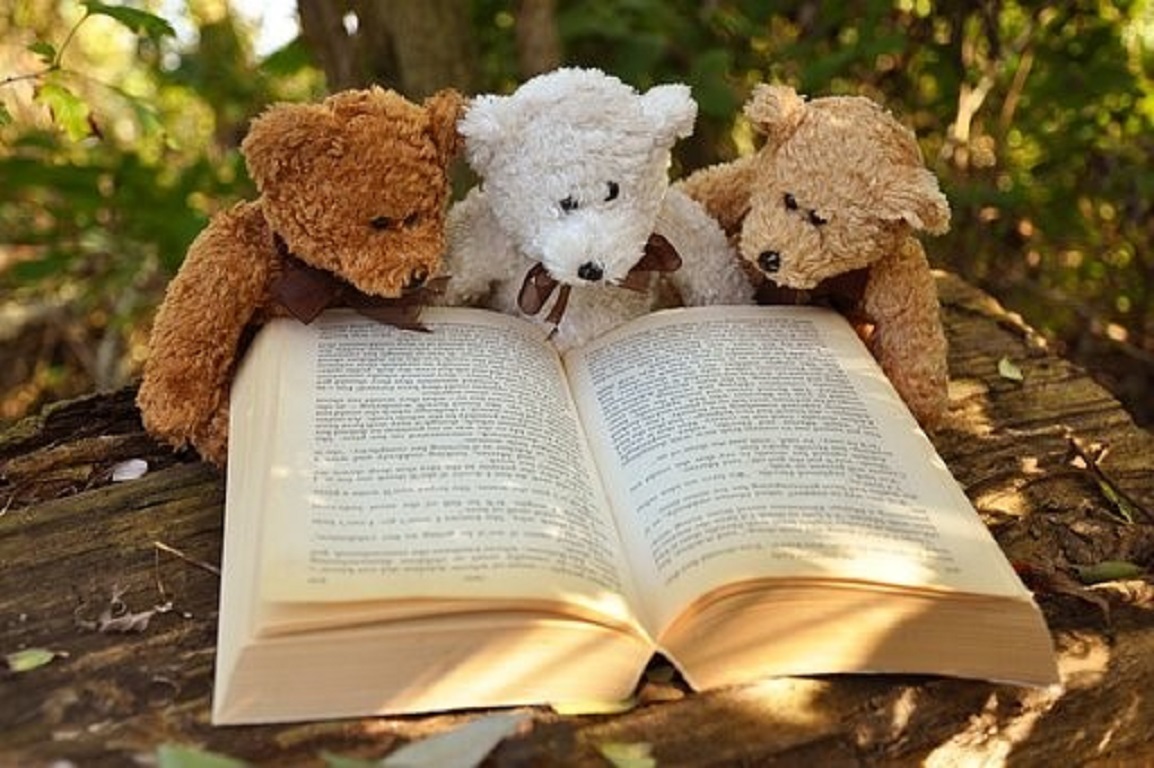 Teddys, die ein Buch lesen